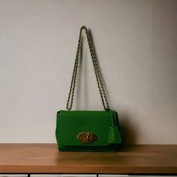 Authentic Mulberry Ladies Lily Classic Small Grain Chain bag HH3291 in  Green